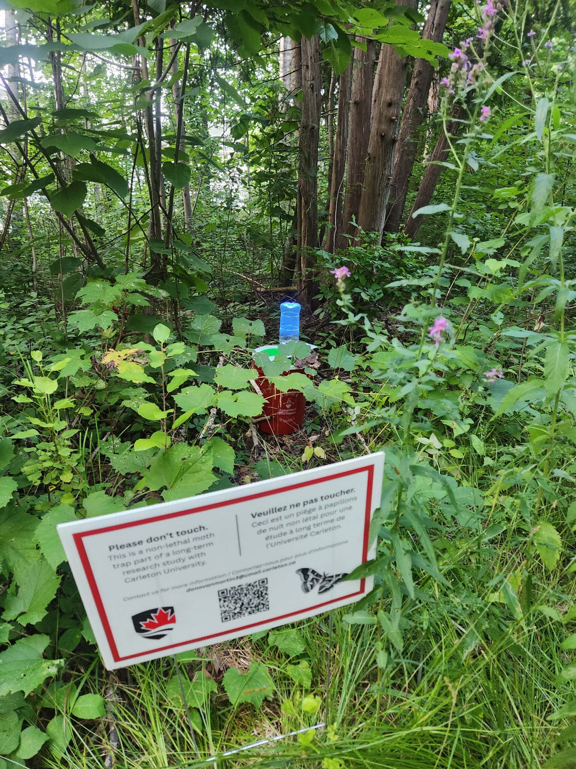 A sign marking the location of the trap