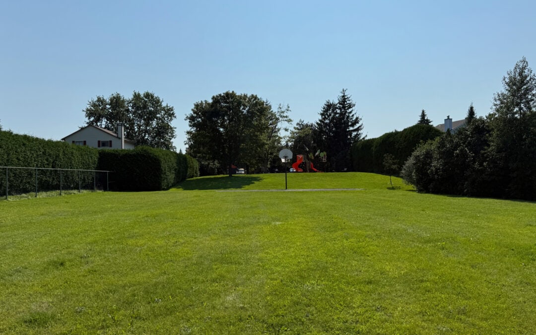 What would you like to see at Amberway Park?