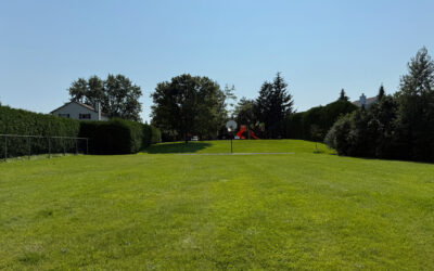 What would you like to see at Amberway Park?