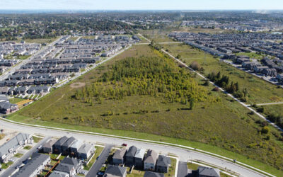 Fernbank District Park pop-up consultation October 3